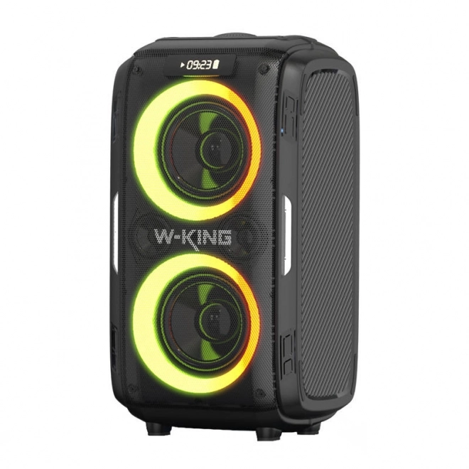 Haut-parleur sans fil Bluetooth W-KING T9 Pro 120W (noir)