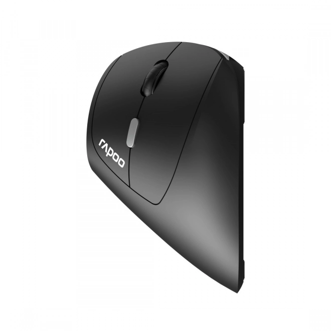 Souris ergonomique sans fil Rapoo EV250