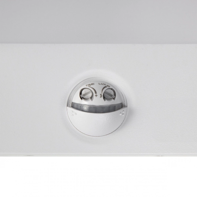 Lampe LED avec capteur de crépuscule et de mouvement