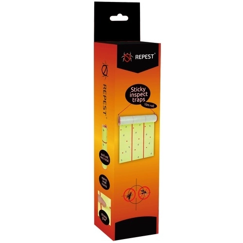 Design attrayant