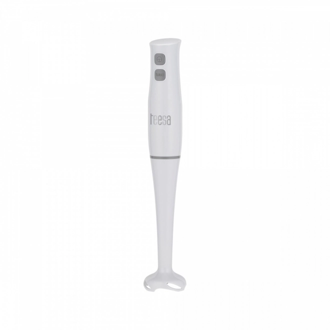 Mixeur plongeant Teesa 400W
