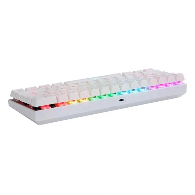Clavier mécanique sans fil Motospeed SK62 White – Commutateur Bleu