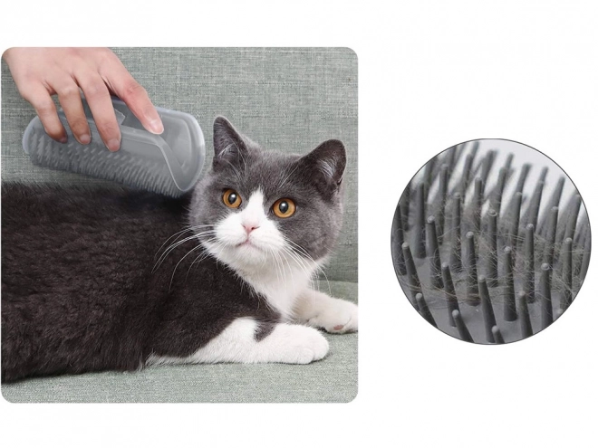 Brosse d'angle pour chats avec herbe à chat