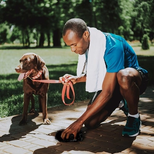 Sacs pour excréments de chien PURLOV avec distributeur