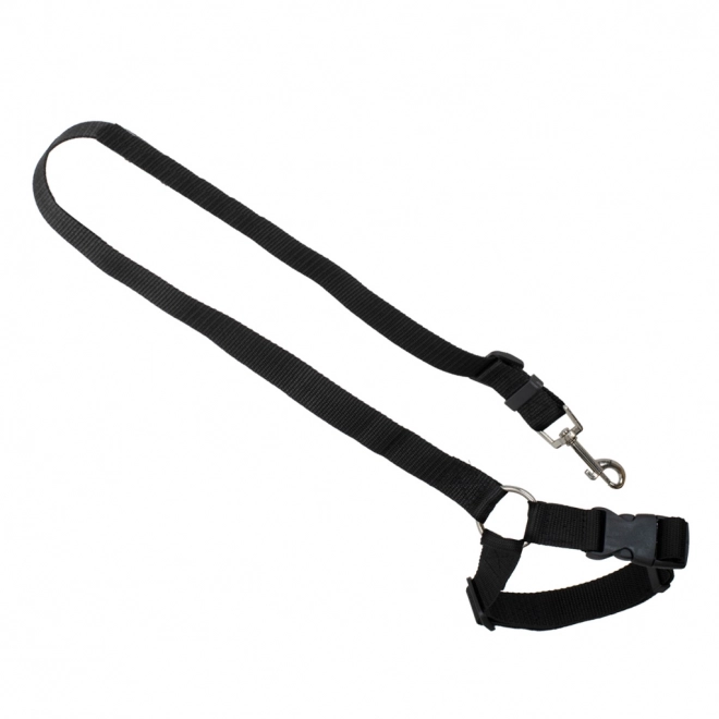 Laisse de sécurité pour ceinture de voiture pour chien et chat
