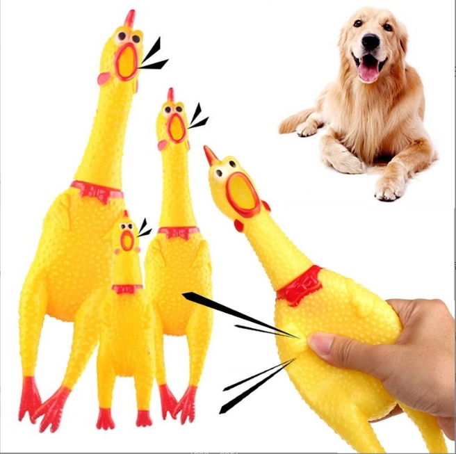Jouet couineur pour chiens - poulet, 16 cm