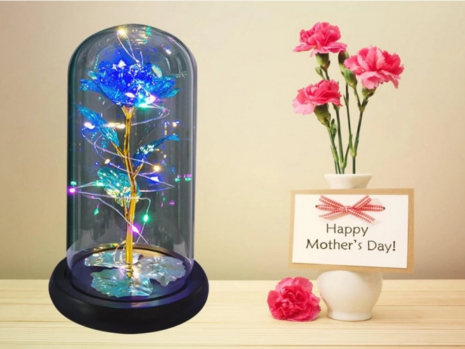 Rose éternelle dans un dôme en verre avec éclairage LED