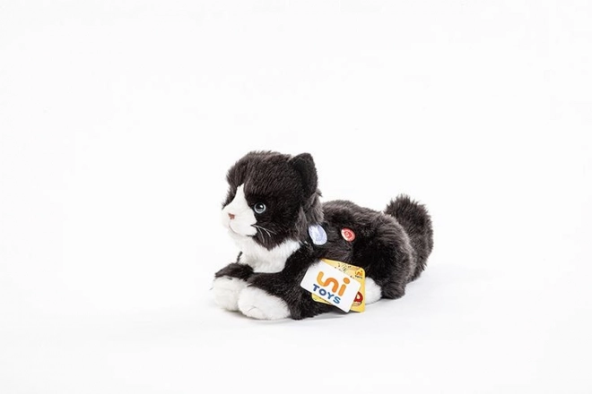 Chat en Peluche sonore 23 cm