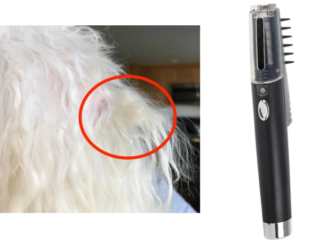 Brosse électrique pour chiens et chats