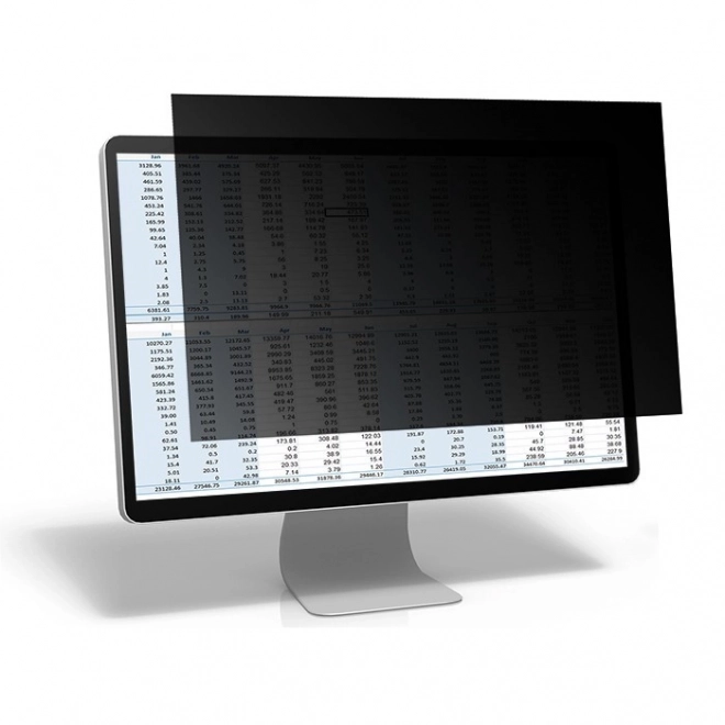 Filtre de confidentialité pour moniteur 23,8 pouces