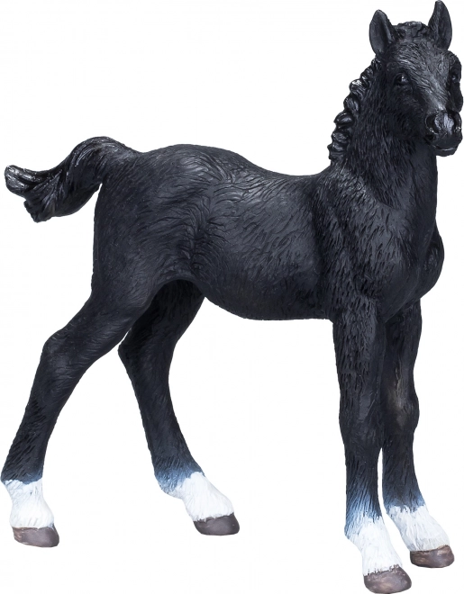 Mojo Poulain hanovrien noir
