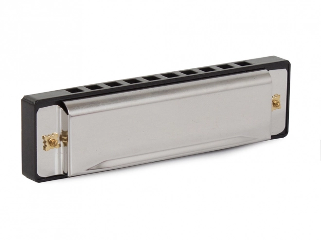 Harmonica en métal en C majeur avec étui