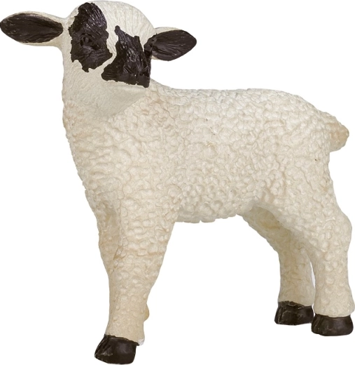 Détails fidèles et coloration réaliste