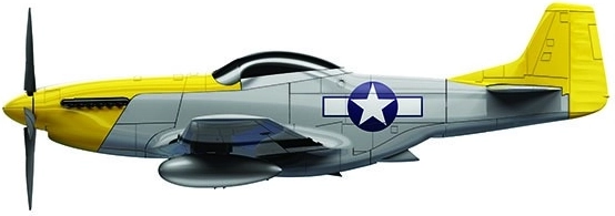 Aspect authentique avec autocollants