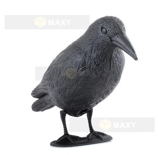 Corbeau effrayant pour les oiseaux