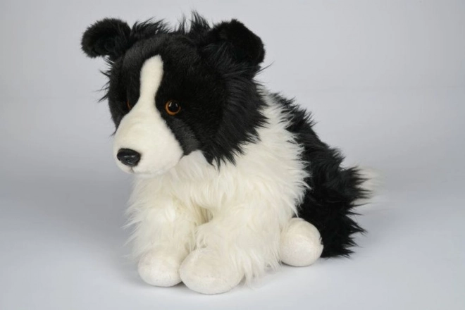 Peluche Border Collie 35 cm