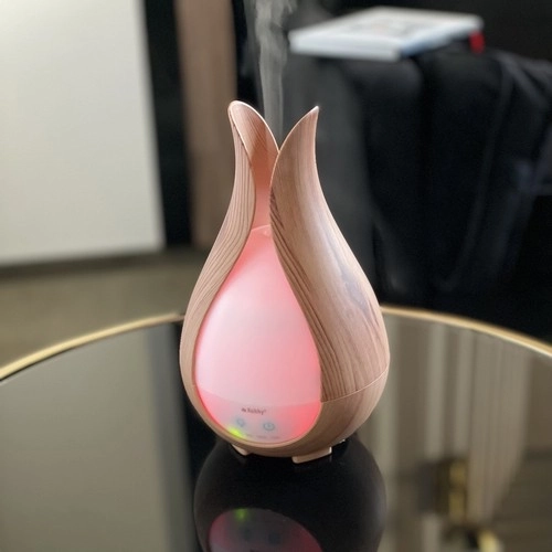 Diffuseur d'arômes et humidificateur d'air 200ml Ruhhy
