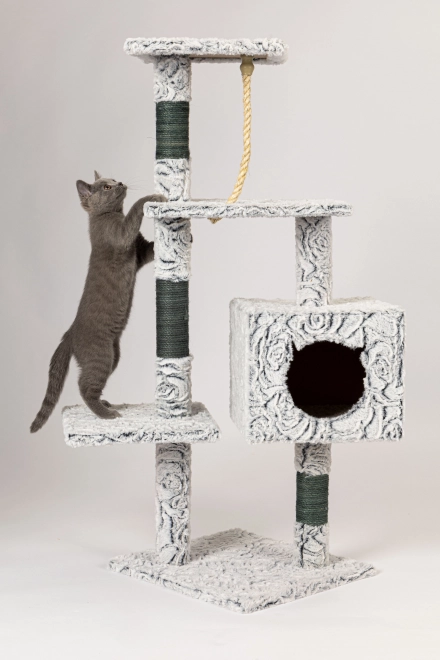 Grand griffoir pour chats avec maisonnettes