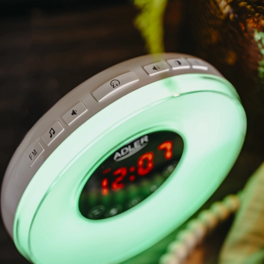 Sons de la nature et radio FM