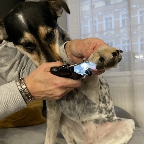 Coupe-griffes sécurisé pour chiens et chats avec LED