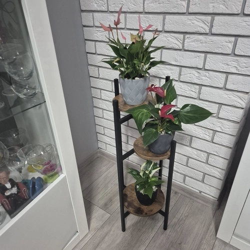 Design moderne
