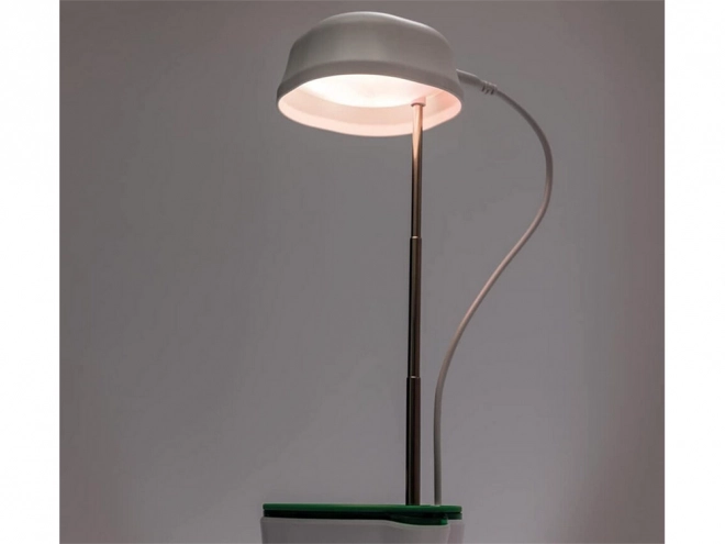 Lampe pour plantes avec lumière à spectre complet et pot à irrigation automatique