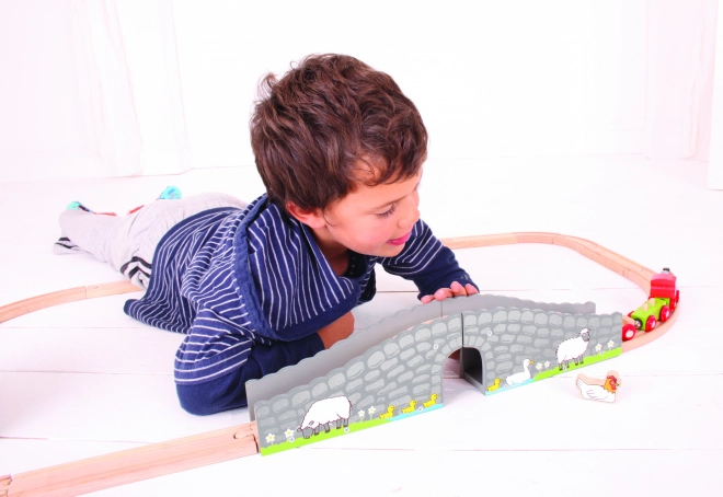 Bigjigs Rail Pont de ferme avec tunnel