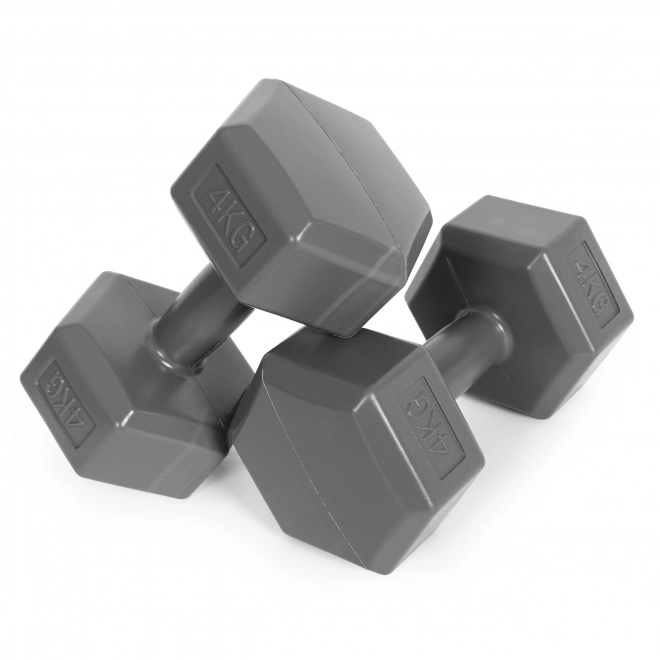 Haltères hexagonales 2x4 kg grises ModernHome