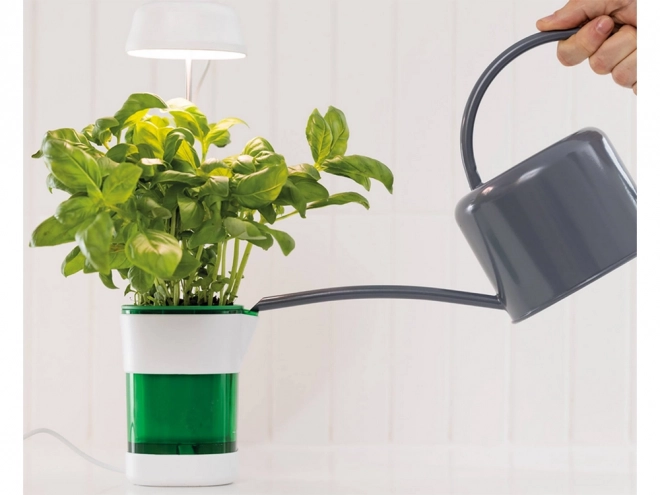 Lampe pour plantes avec lumière à spectre complet et pot à irrigation automatique