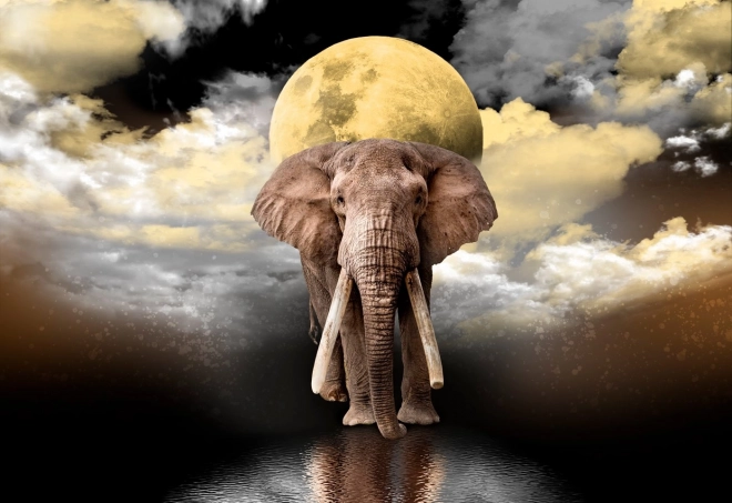 Puzzle en bois Rêves d'Éléphant 2 en 1