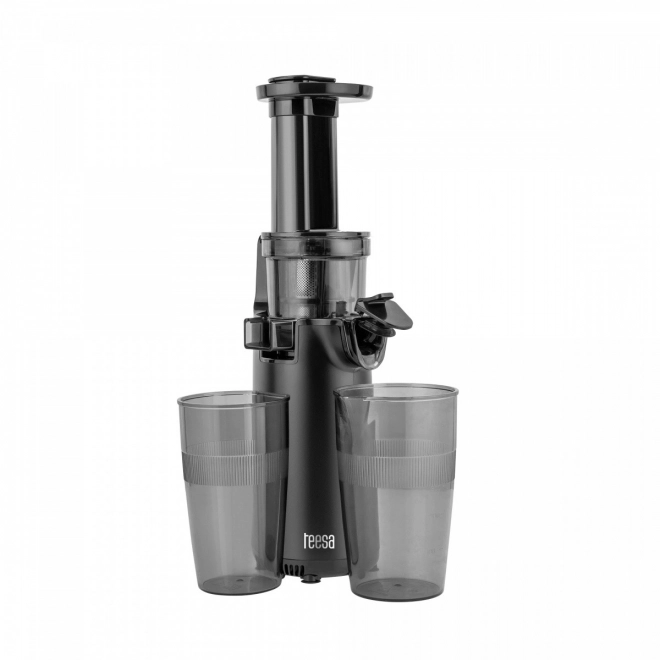 Extracteur à jus lent Teesa TSA3233