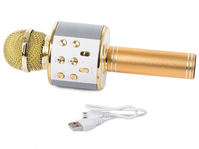 Microphone Bluetooth sans fil pour karaoké
