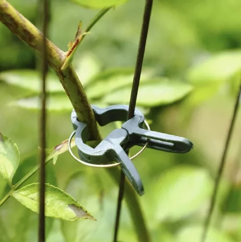 Clips pour plantes - 108 pcs. Gardlov 22586