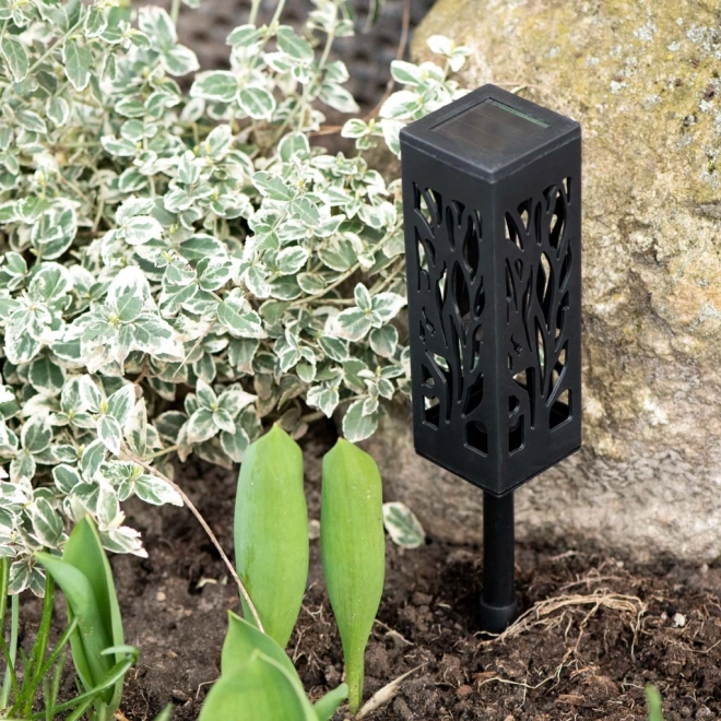 Lampes de jardin décoratives solaires 4 pièces