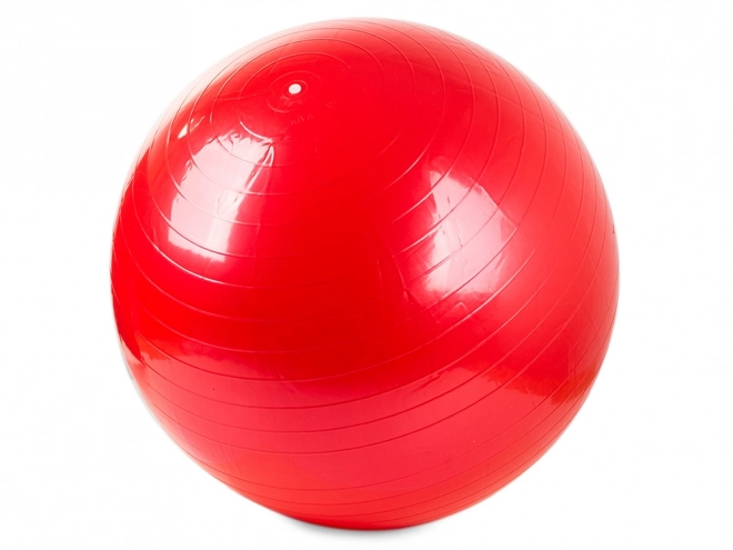 Balle de gymnastique avec pompe pour fitness et réhabilitation
