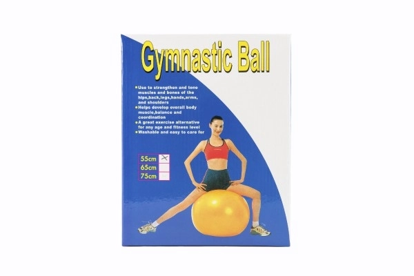 Balle de gymnastique pour exercices et relaxation