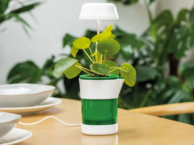 Lampe pour plantes avec lumière à spectre complet et pot à irrigation automatique
