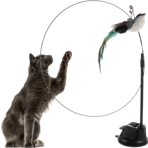 Jouet pour chats avec ventouse et oiseau