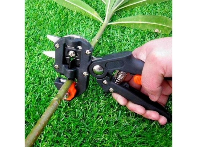 Sécateur pour greffage d'arbres et d'arbustes