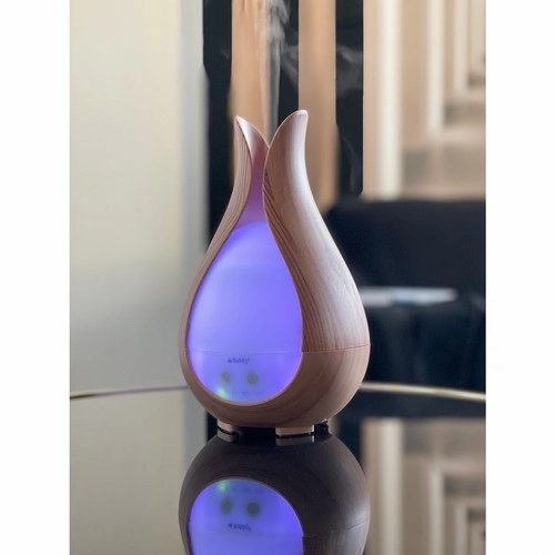 Diffuseur d'arômes et humidificateur d'air 200ml Ruhhy