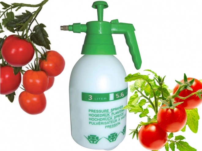 Pulvérisateur à pression manuelle 3 litres