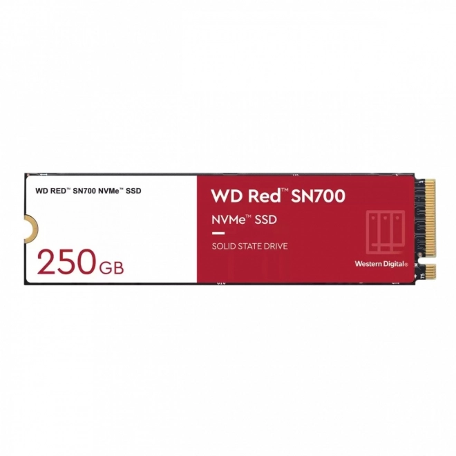 Disque SSD WD Red SN700 NVMe 250GB M.2