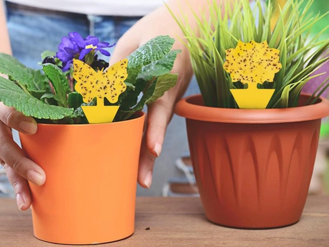 Autocollants adhésifs jaunes pour pots de fleurs