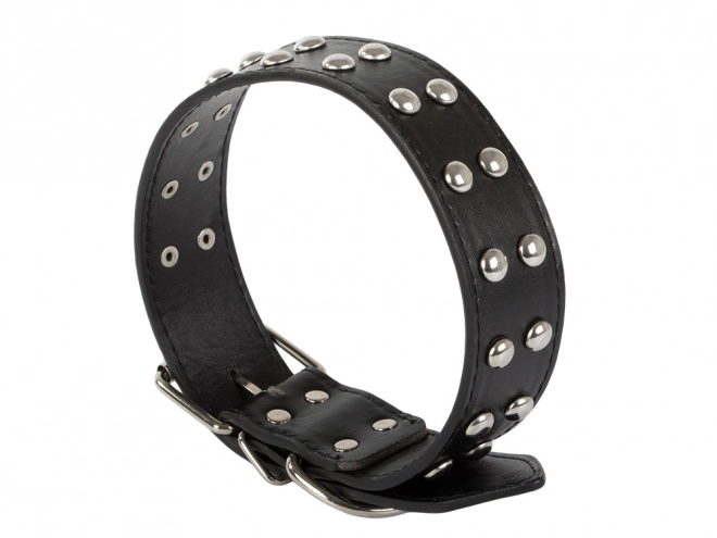 Collier ajustable pour chiens en cuir écologique avec clous métalliques