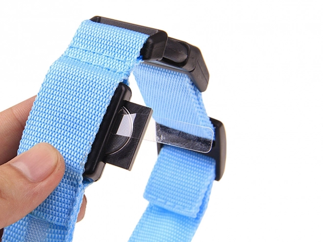 Collier LED réglable pour chiens et chats
