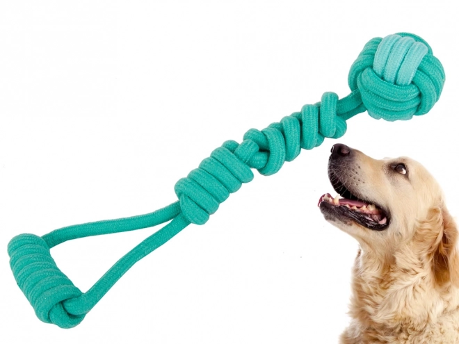 Longue corde à tirer pour chiens
