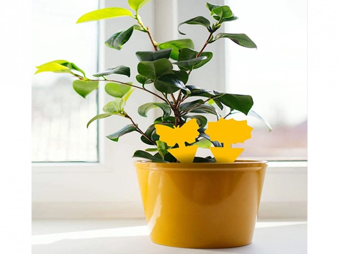 Autocollants adhésifs jaunes pour pots de fleurs
