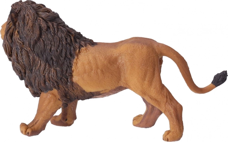 Adaptée à l’éducation et aux collections