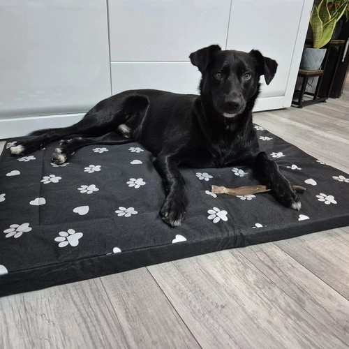 Couchage pour chien XXL imperméable