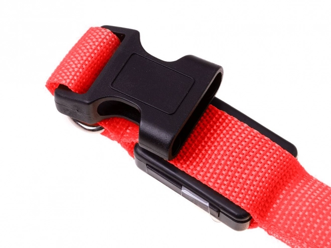 Collier lumineux LED pour animaux de compagnie